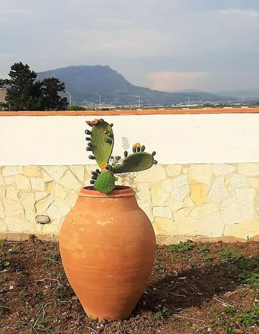 Cammini Di Sale Casa Vacanze Tra Le Saline Torre Nubia Exterior foto
